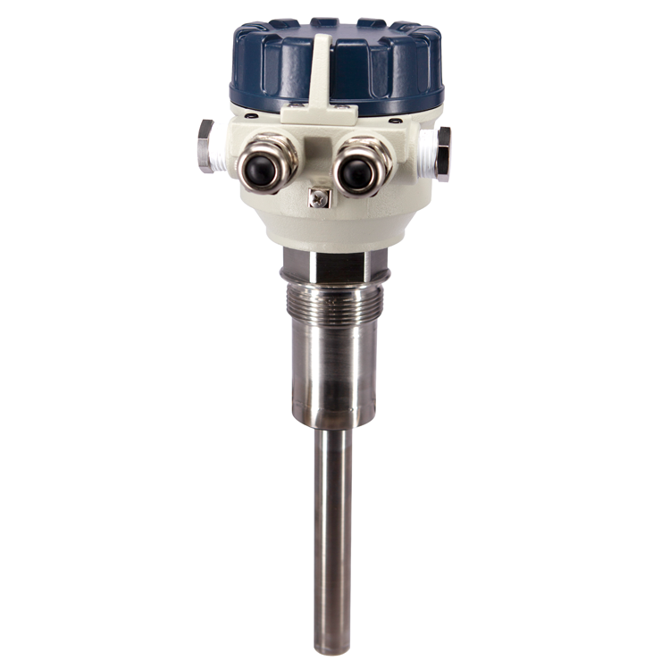 Vibrating Rod  NIVOCONT R